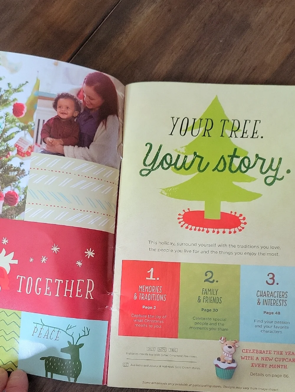 Hallmark 2015 Keepsake Ornaments DREAM BOOK
